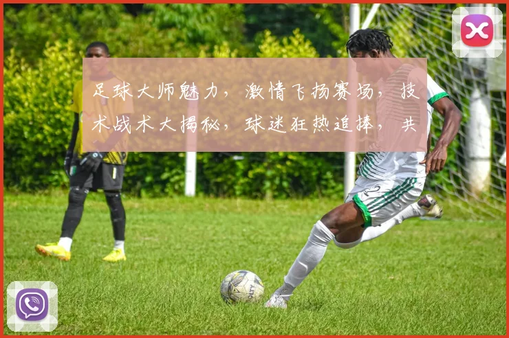 足球大师魅力，激情飞扬赛场，技术战术大揭秘，球迷狂热追捧，共享足球盛宴