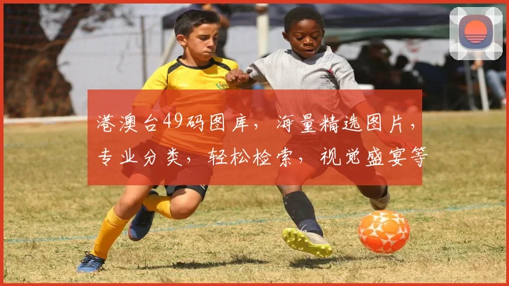 港澳台49码图库，海量精选图片，专业分类，轻松检索，视觉盛宴等你来