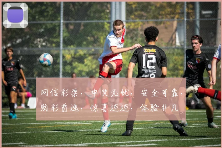 网信彩票，中奖无忧，安全可靠，购彩首选，惊喜连连，体验非凡
